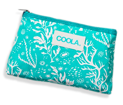 coola travel bag